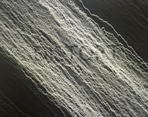 12226862_1243710488977984_1496701494_n